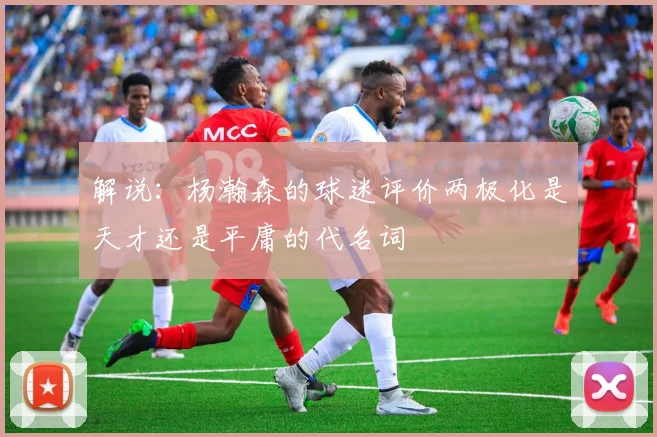解说：杨瀚森的球迷评价两极化是天才还是平庸的代名词